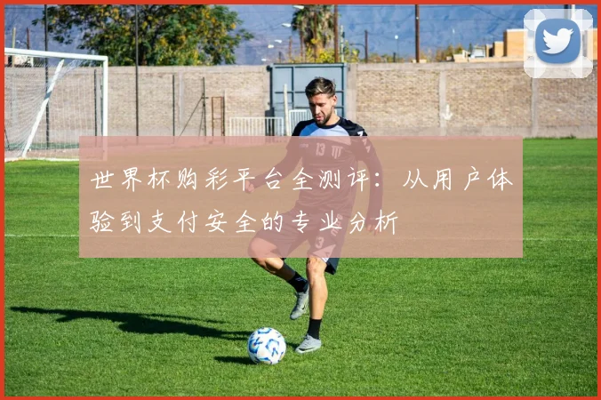 世界杯购彩平台全测评：从用户体验到支付安全的专业分析
