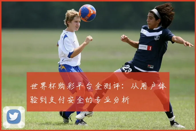 世界杯购彩平台全测评：从用户体验到支付安全的专业分析