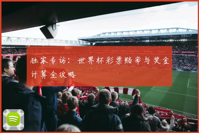 独家专访:世界杯彩票赔率与奖金计算全攻略