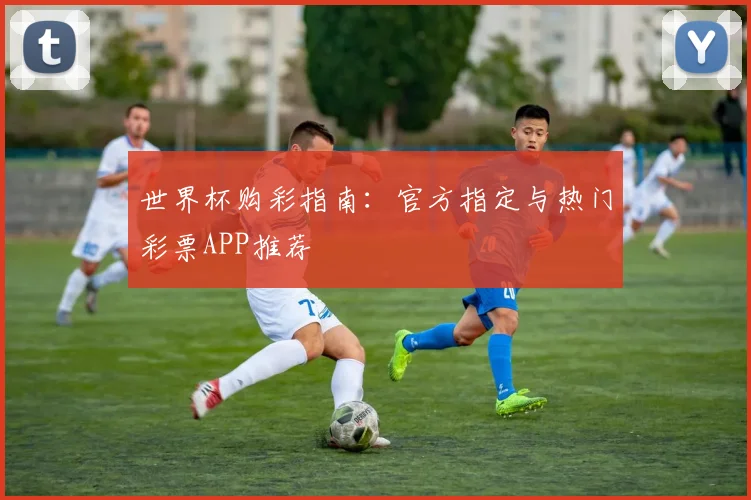 世界杯购彩指南：官方指定与热门彩票APP推荐
