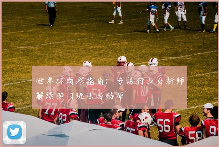 世界杯购彩指南：专访行业分析师解读热门玩法与赔率