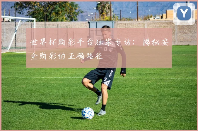世界杯购彩平台独家专访：揭秘安全购彩的正确路径