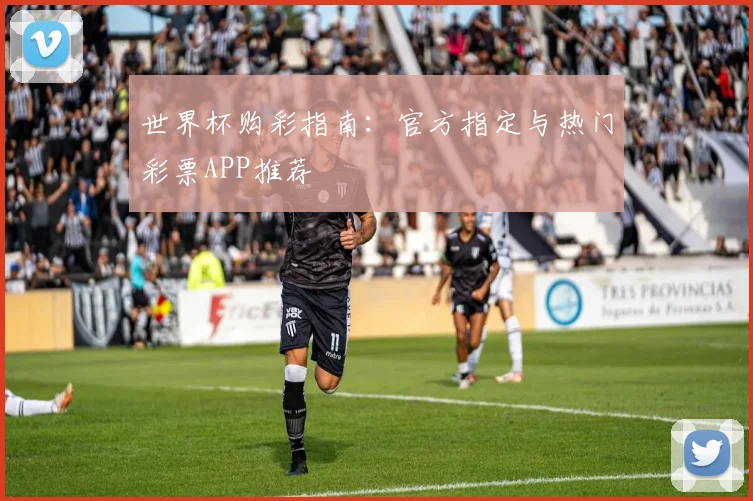 世界杯购彩指南：官方指定与热门彩票APP推荐