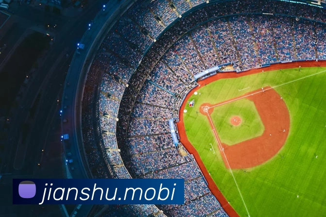 开云综合app官网登录发展历程